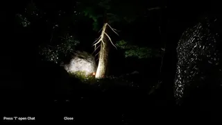 Скриншот 5 к игре Brave