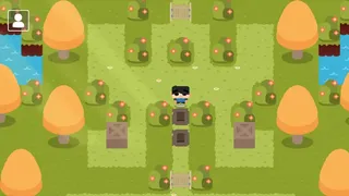 Скриншот 1 к игре Sokoban Land DX