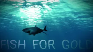 Скриншот 1 к игре Fish for gold