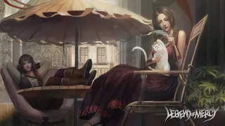 Скриншот 1 к игре Legend Of Mercy 神医魔导