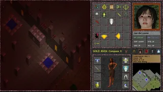 Скриншот 8 к игре Dr. Dungeon's MADMAN!