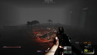 Скриншот 3 к игре Days Of Purgatory
