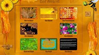 Скриншот 2 к игре Bee Aware! 2.0