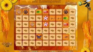 Скриншот 6 к игре Bee Aware! 2.0