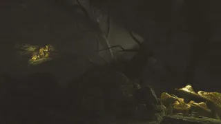Скриншот 7 к игре Wellspring: Altar of Roots