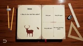 Скриншот 5 к игре BOOKS