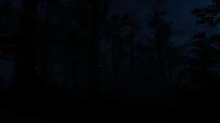 Скриншот 4 к игре Fear Of Nightmares: Madness Descent