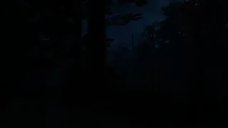 Скриншот 5 к игре Fear Of Nightmares: Madness Descent