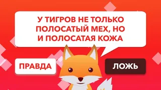 Скриншот 1 к игре True or False Universe