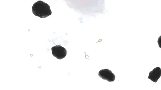 Скриншот 3 к игре Guppy