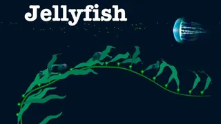 Скриншот 1 к игре Jellyfish