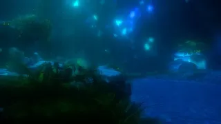 Скриншот 6 к игре Druid's Tale: Crystal Cave