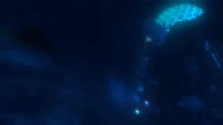 Скриншот 8 к игре Druid's Tale: Crystal Cave