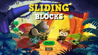 Скриншот 1 к игре Sliding Blocks