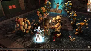 Скриншот 2 к игре Neverwinter Nights: Enhanced Edition