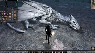 Скриншот 4 к игре Neverwinter Nights: Enhanced Edition