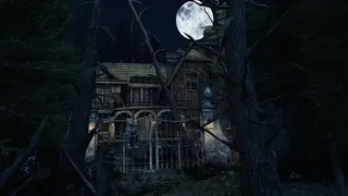 Скриншот 3 к игре AFFECTED: The Manor - The Complete Edition