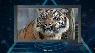 Скриншот 1 к игре Trials of the Illuminati: Amazing Wildlife Jigsaws