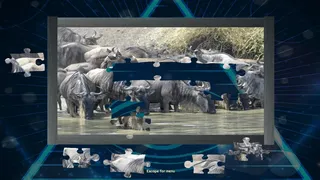 Скриншот 4 к игре Trials of the Illuminati: Amazing Wildlife Jigsaws