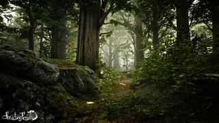 Скриншот 1 к игре Reaching for Petals: VR Edition
