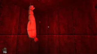 Скриншот 3 к игре The Mystery Room