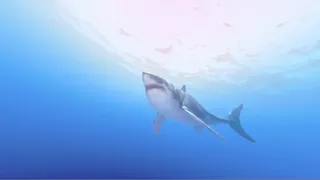 Скриншот 3 к игре Shark Week: Operation Apex