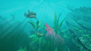Скриншот 5 к игре Tropical Escape