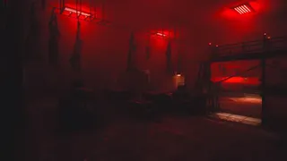 Скриншот 12 к игре Hide Or Die