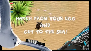 Скриншот 2 к игре Turtle Quest