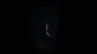 Скриншот 7 к игре Deep Sorrow