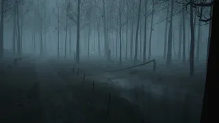 Скриншот 2 к игре Dead Forest