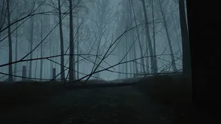 Скриншот 6 к игре Dead Forest