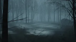 Скриншот 8 к игре Dead Forest