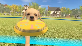 Скриншот 2 к игре Dream Pets VR