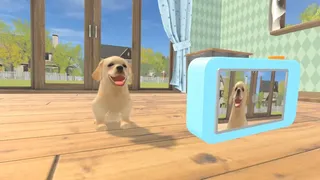 Скриншот 6 к игре Dream Pets VR