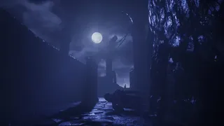 Скриншот 5 к игре Sleeping Dawn