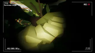 Скриншот 7 к игре Barrimean Jungle