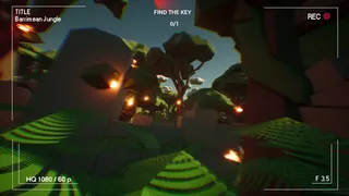 Скриншот 8 к игре Barrimean Jungle