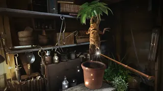 Скриншот 1 к игре Fantastic Beasts and Where to Find Them VR Experience