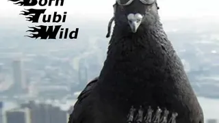 Скриншот 4 к игре Born Tubi Wild