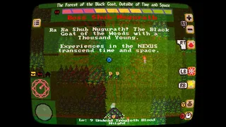 Скриншот 1 к игре Shadowcrawl: The Dark Pilgrimage