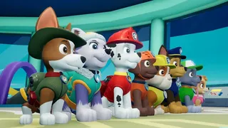 Скриншот 1 к игре Paw Patrol: On A Roll!