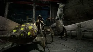 Скриншот 4 к игре The Door of Ice 冰封之门