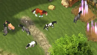 Скриншот 2 к игре Horse Paradise - My Dream Ranch