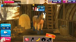Скриншот 3 к игре Horse Paradise - My Dream Ranch