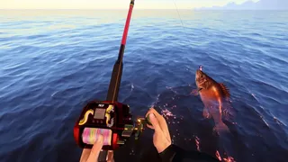 Скриншот 4 к игре Russian Fishing 4