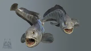 Скриншот 5 к игре Russian Fishing 4