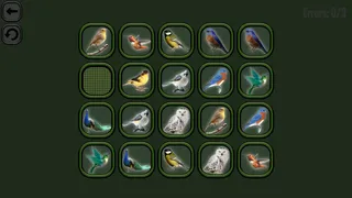 Скриншот 1 к игре Animals Memory: Birds