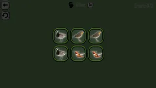 Скриншот 3 к игре Animals Memory: Birds