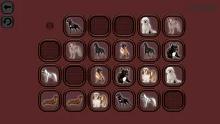 Скриншот 5 к игре Animals Memory: Dogs
